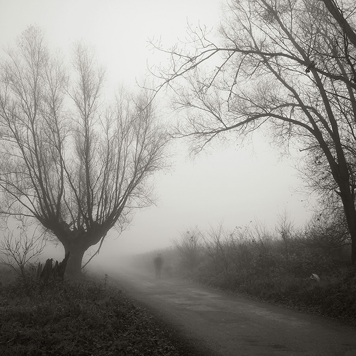 piotrus33 - ***. . Zdjęcie 20936