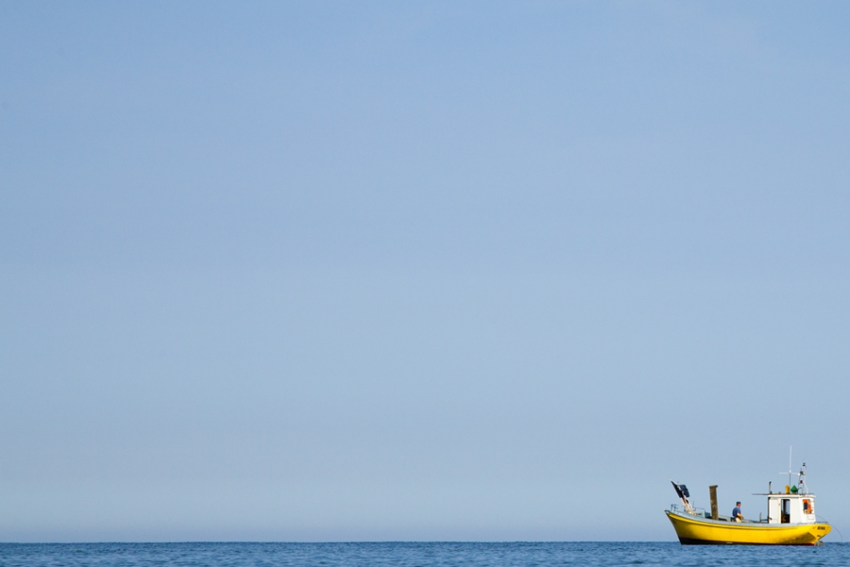 ciusiek - Yellow.... . Zdjęcie 125331