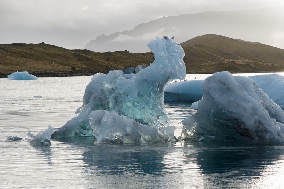 ano - Ptaszek. . Zdjęcie 256404