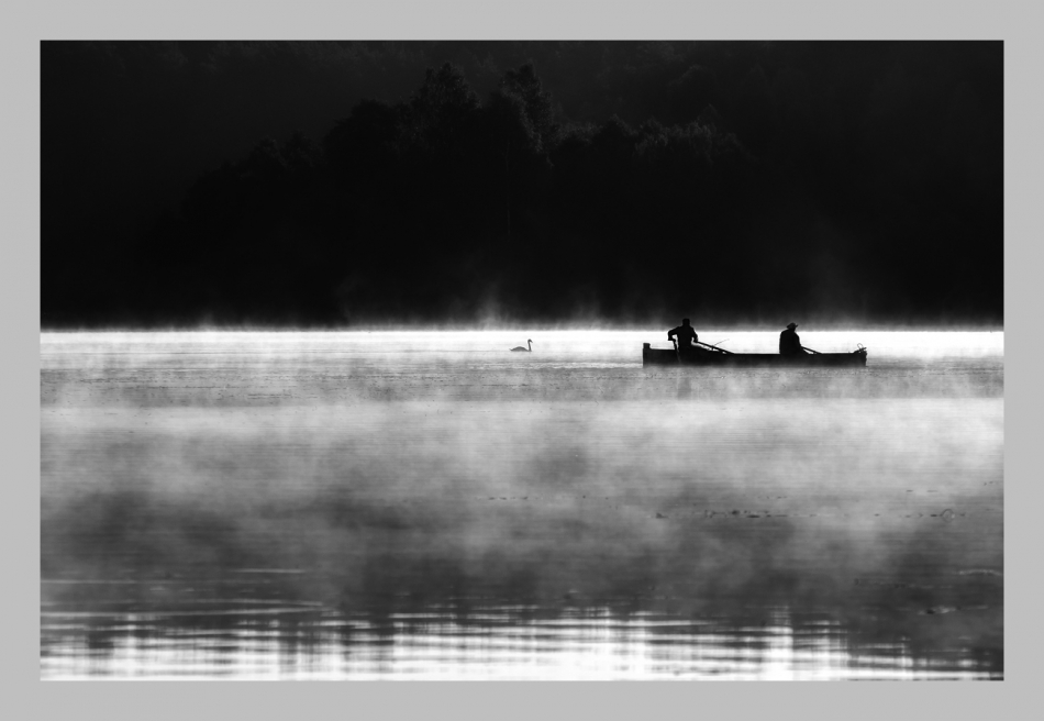 fotoel - **. . Zdjęcie 89508