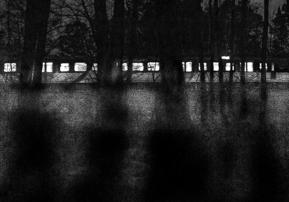 -. -. Zdjęcie 339125