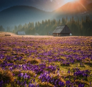 Tatry