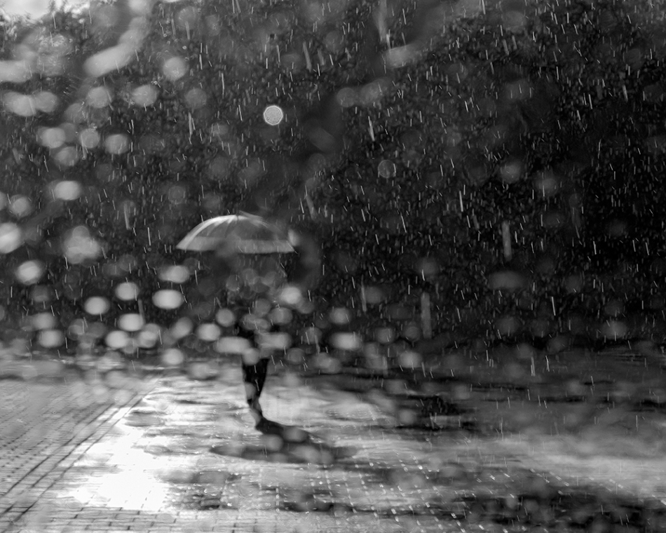 janish - . . Zdjęcie 204466