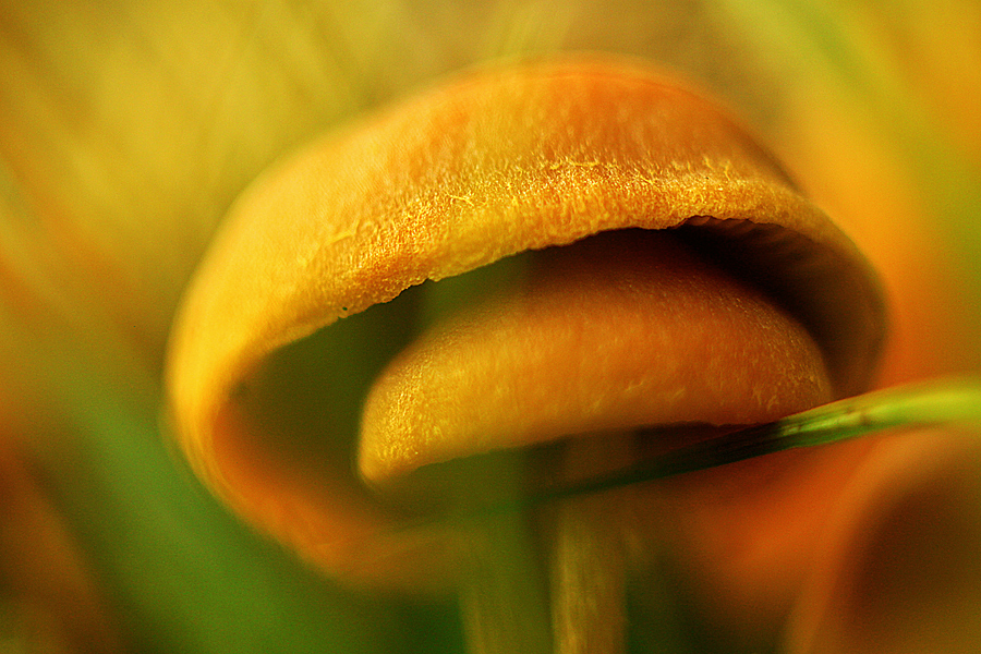 stanzniszczenia - imagine a world.... . Zdjęcie 73349