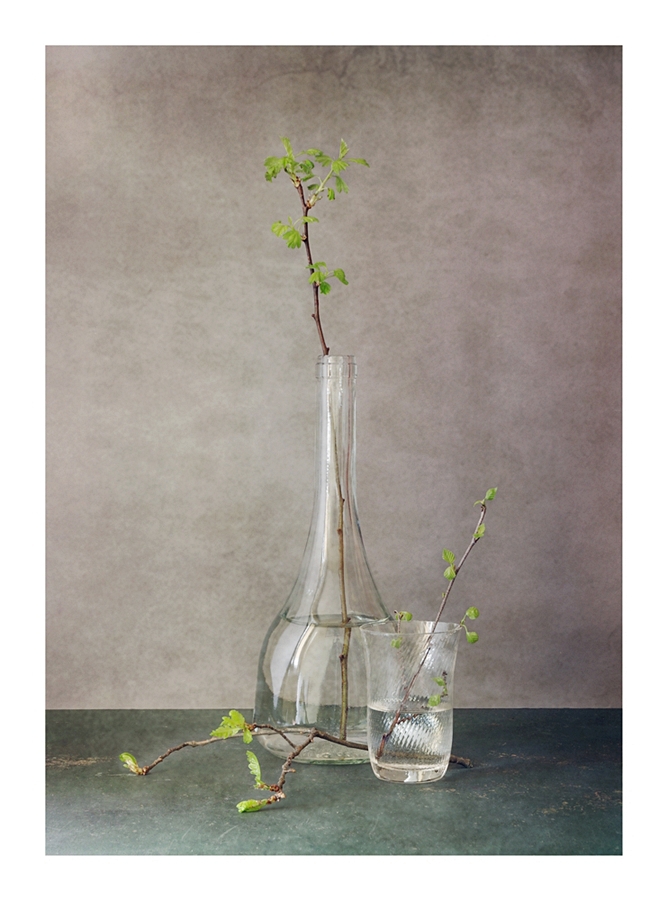 marcel - . . Zdjęcie 216993