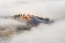 An Autumn's Tale...