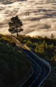 Way to the sky