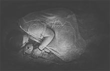 kołysanka II