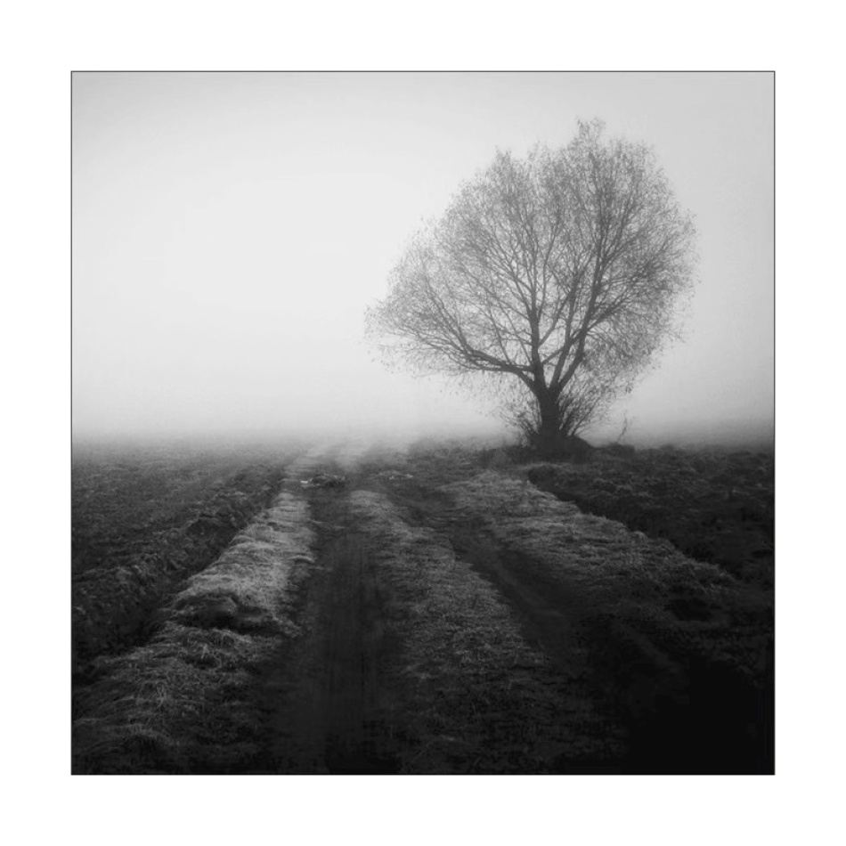 *. . Zdjęcie 337402