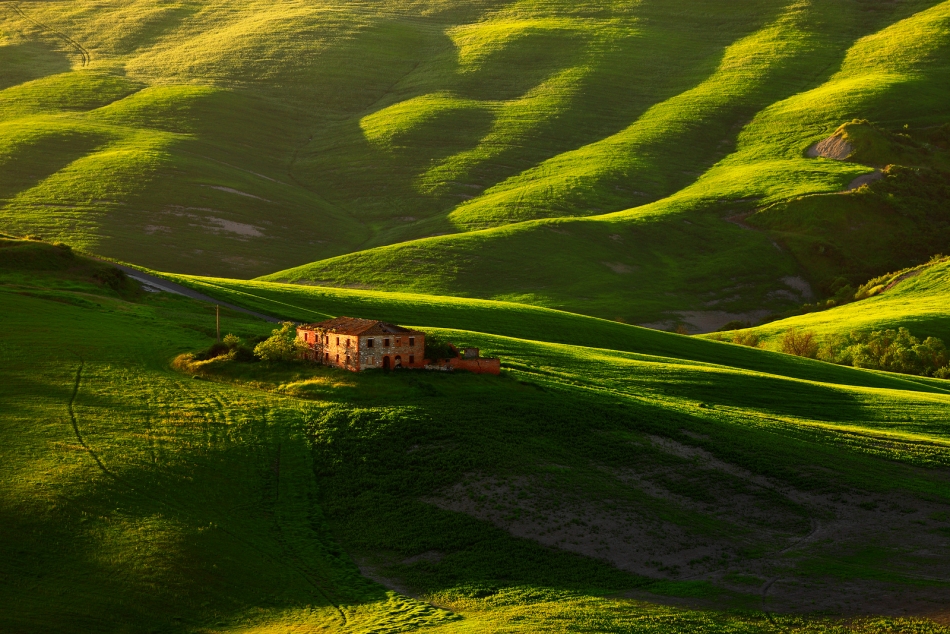 jalis - Crete Senesi. . Zdjęcie 332703