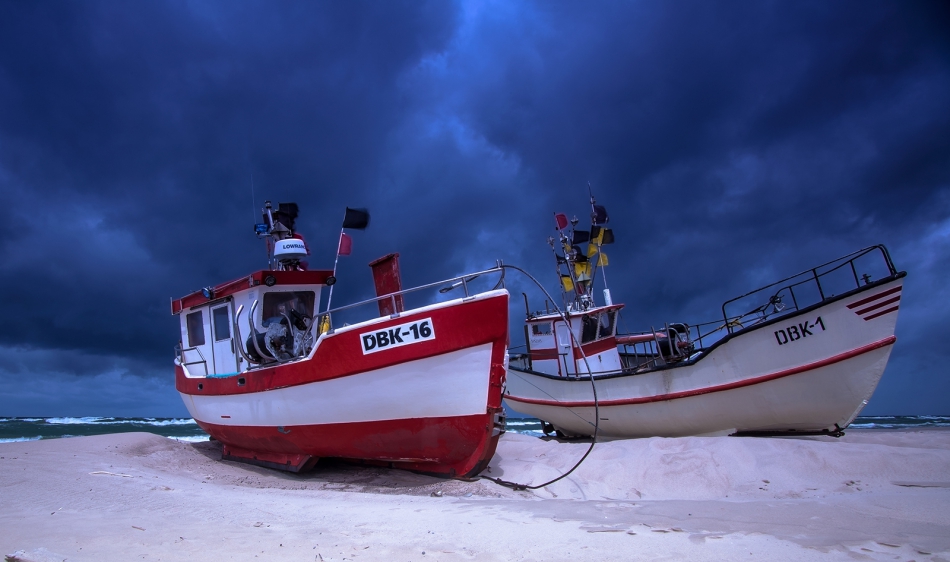 roman53 - . . Zdjęcie 303530