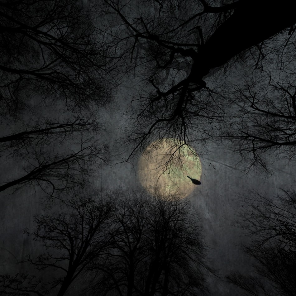 January. . Zdjęcie 338500