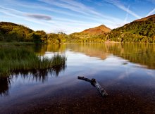 LLYN GWYNANT