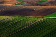 Ursusa cień