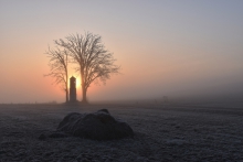 tylko cisza