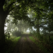 The Darkest Path.