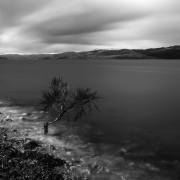 Loch Fyne