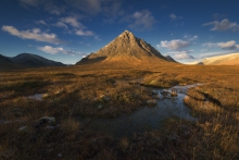 Shepherd of Etive