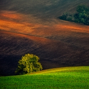 A Landscape