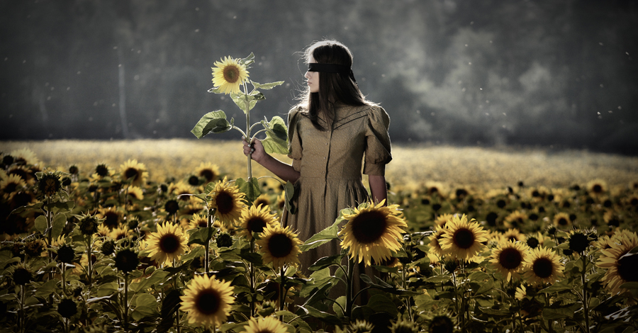 annapaterek - .. . Zdjęcie 85912