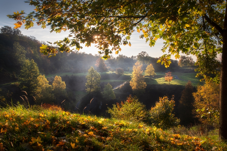 mikelspontan - Kolory jesieni. . Zdjęcie 337024