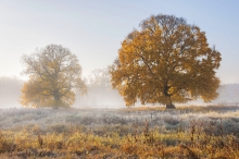 Jesieni barwy 