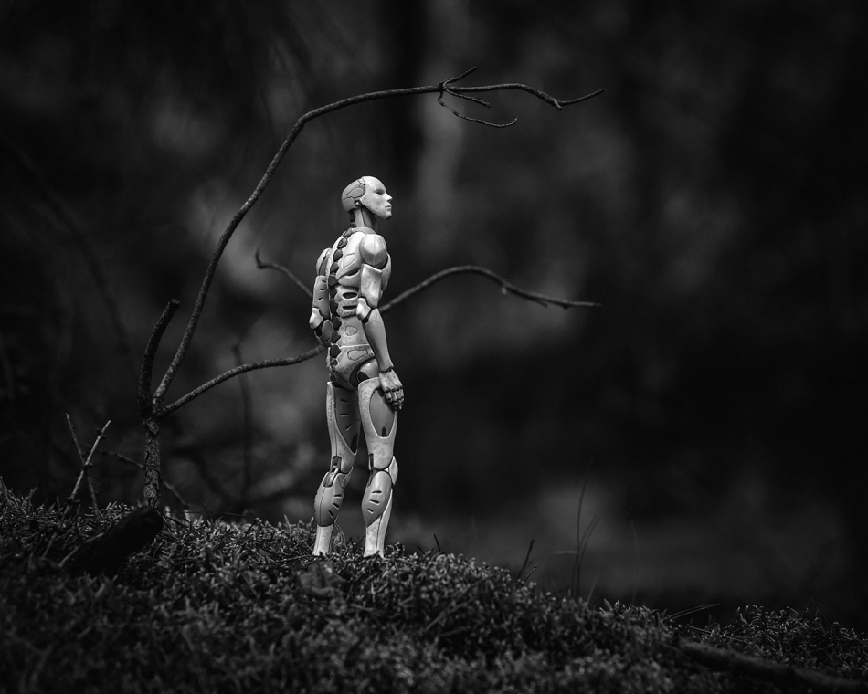 vonbitto - exploration. . Zdjęcie 331354