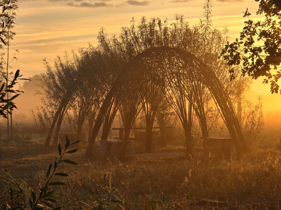 Czas na odpoczynek. . Zdjęcie 338654