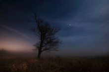 Nocne wędrówki