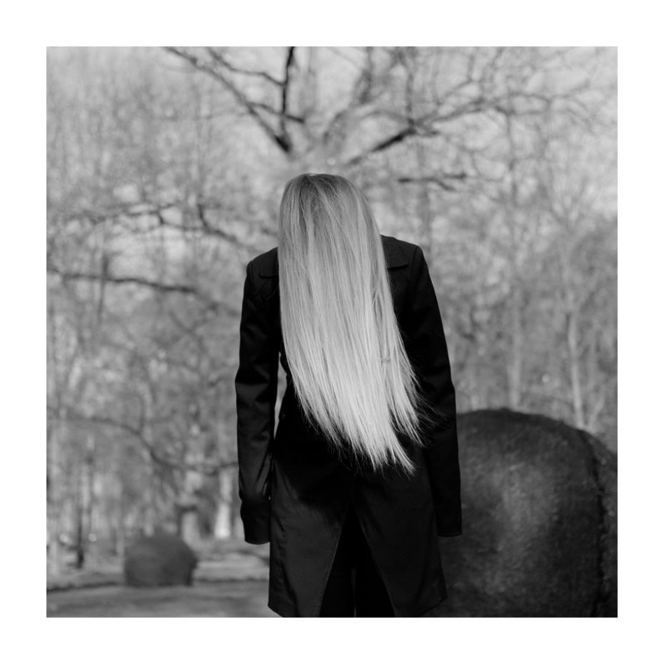 *. . Zdjęcie 337416