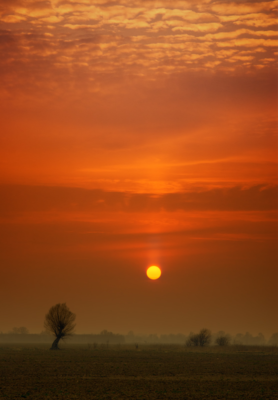 ader - Zmierzch. . Zdjęcie 56712