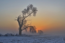 Pokolenia