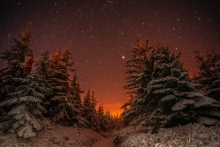 A Winter Night's Tale...