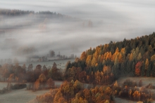 For the Love of Autumn...