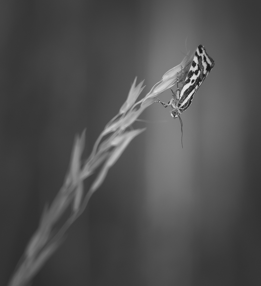 miko6d - . . Zdjęcie 240393