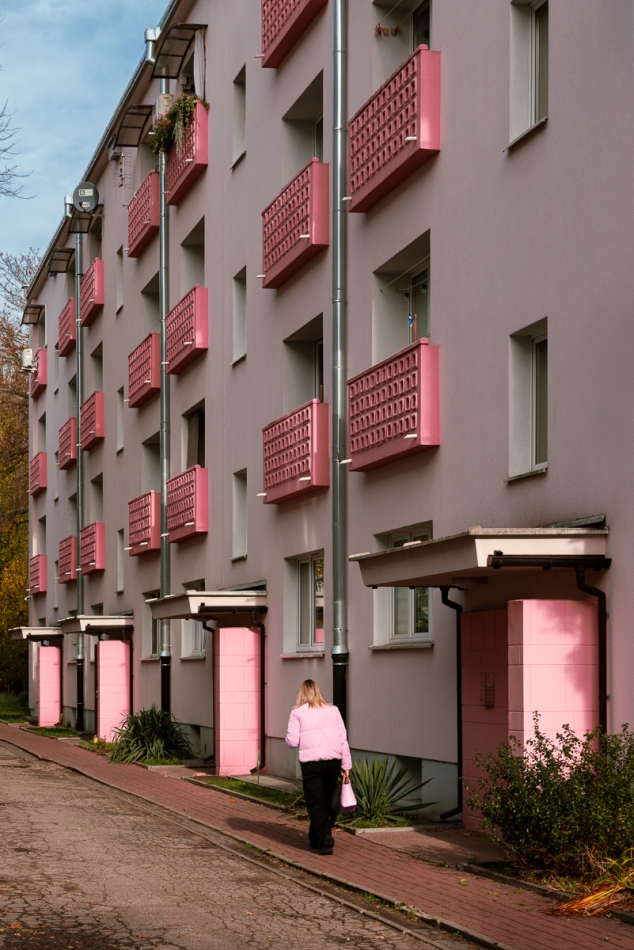 tomasz_z1973 - Pink. . Zdjęcie 336500