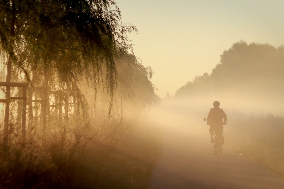 Jesienny poranek. . Zdjęcie 336866