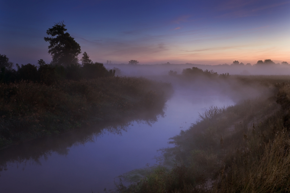 Brak tytułu. . Zdjęcie 250471