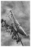 Stand in the Storm