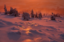 Symfonia porannych barw