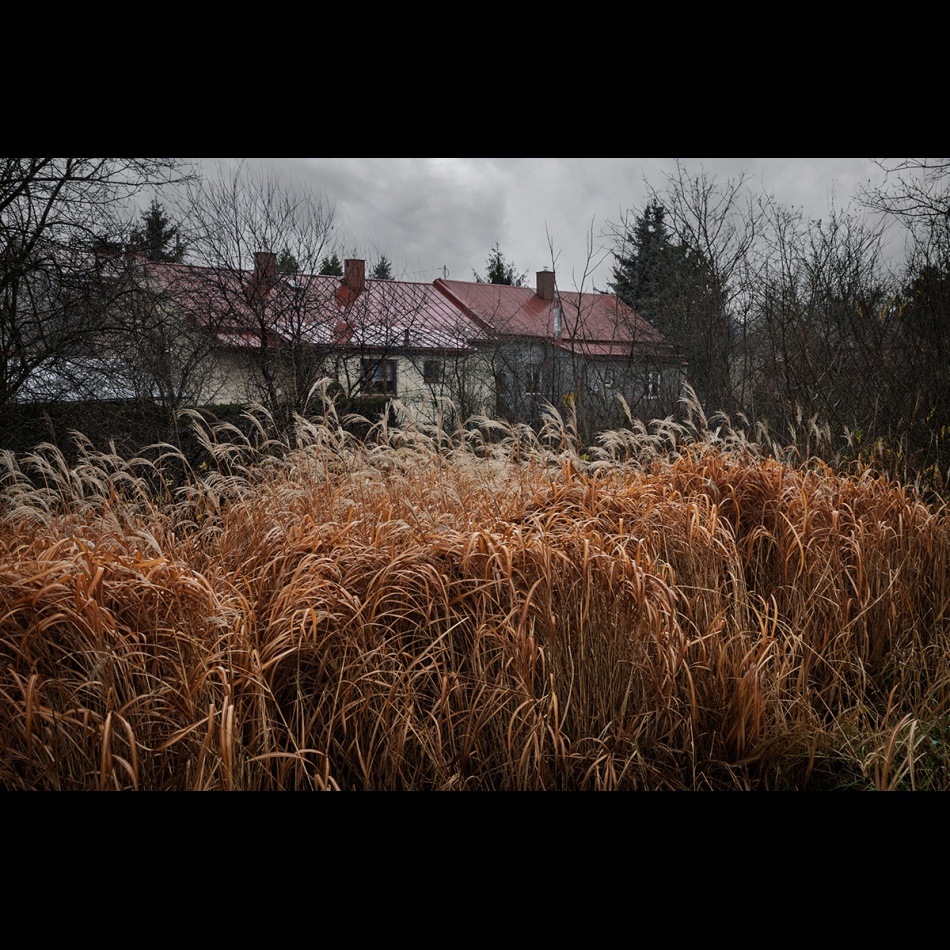 Listopad. . Zdjęcie 337096