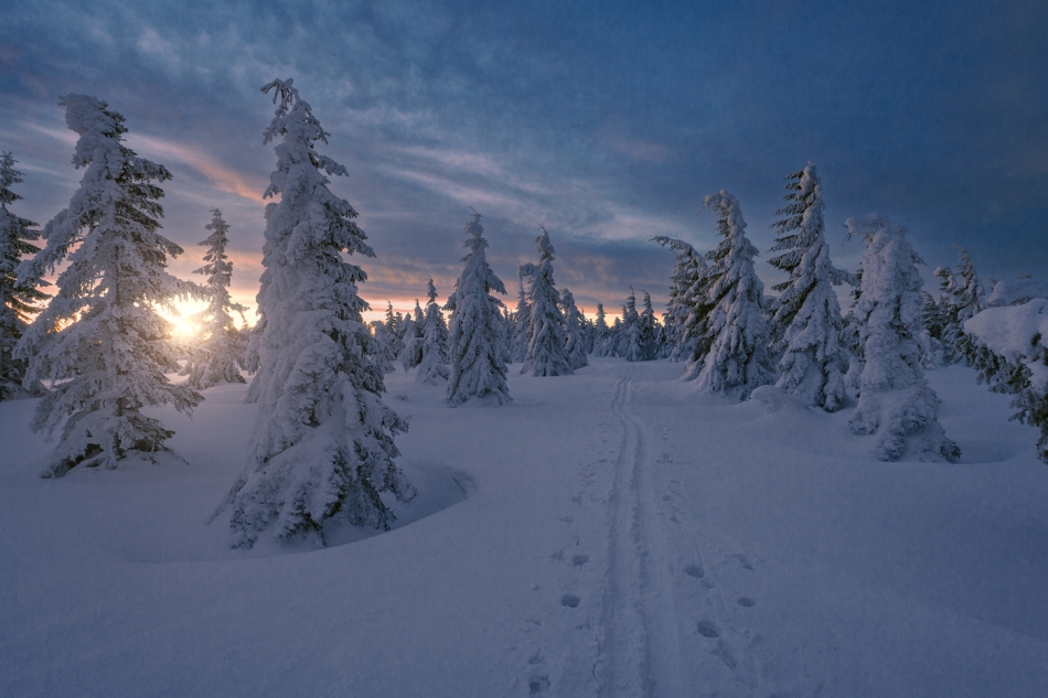 bonnieandclyde - Winter Path.... . Zdjęcie 331590