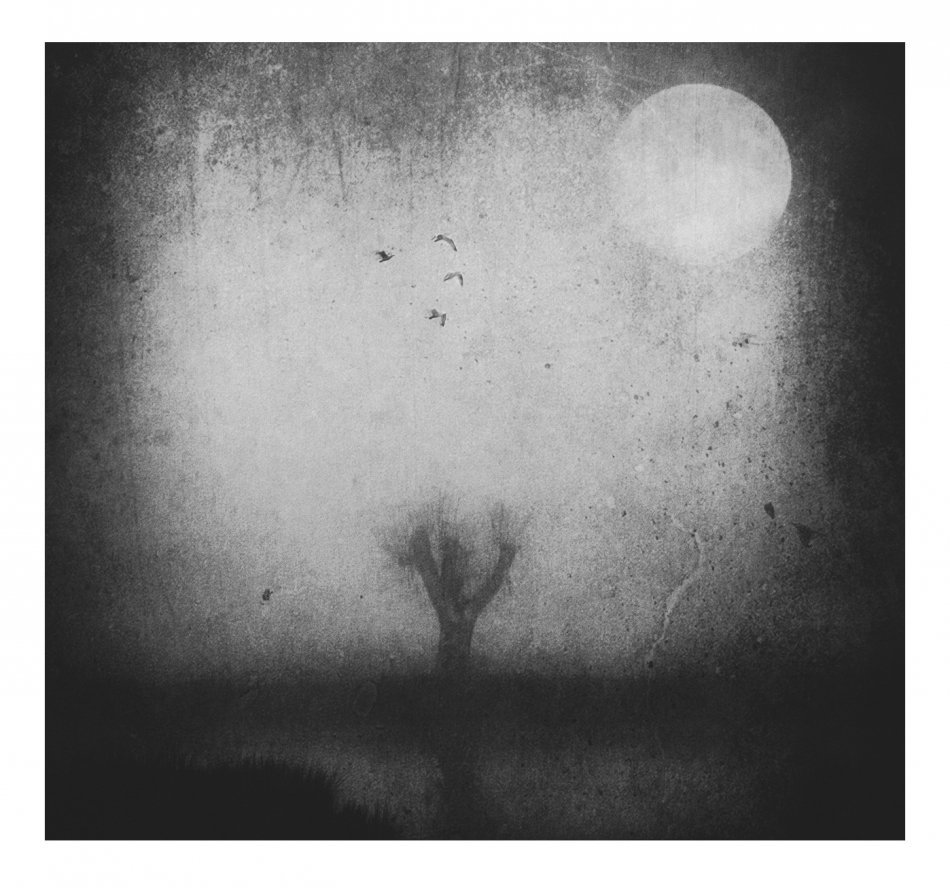 robin74r - The Gloomy Day. . Zdjęcie 327878