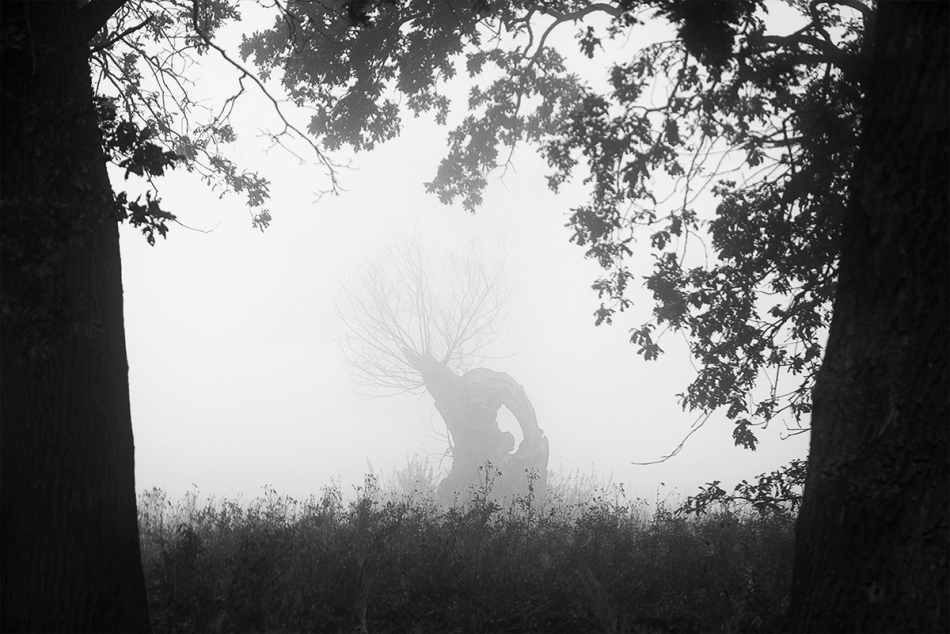 toooomelo - . . Zdjęcie 205771