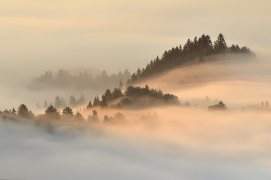  - Pienińskie majaki .... . Zdjęcie 36460