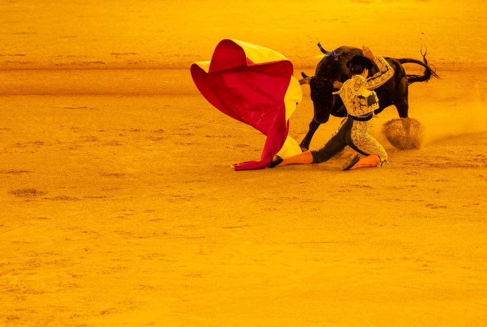 stefan1 - Plaza de Toros de la Real Maestranza de Caballería de Sevilla. . Zdjęcie 325233
