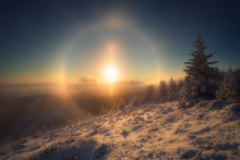 Halo