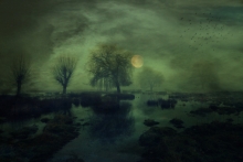The Lost Morning