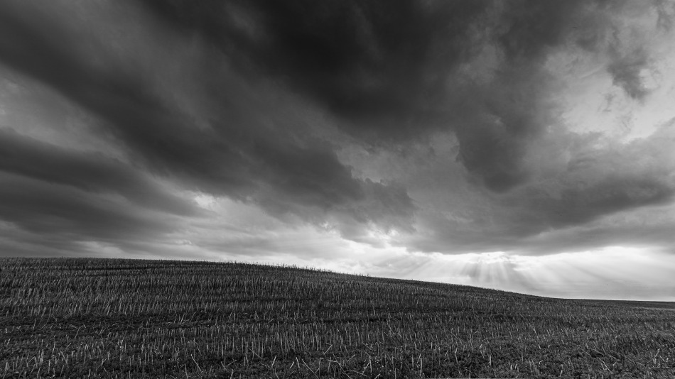 Windows XP, wersja jesienna. . Zdjęcie 338943