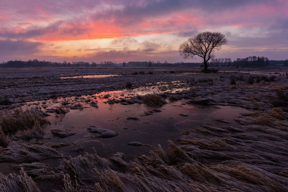 radson_foto - Wschód. Wieś Chorzęcin (woj. łódzkie). . Zdjęcie 298331